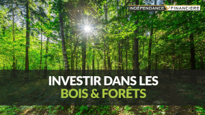 2018-08-24 21_06_25-Greenshot investir bois et forets