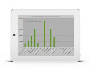 IPAD-CAPITAL-NECESSAIRE