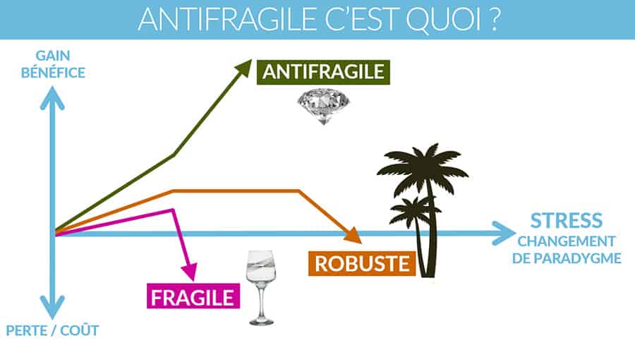 antifragile900